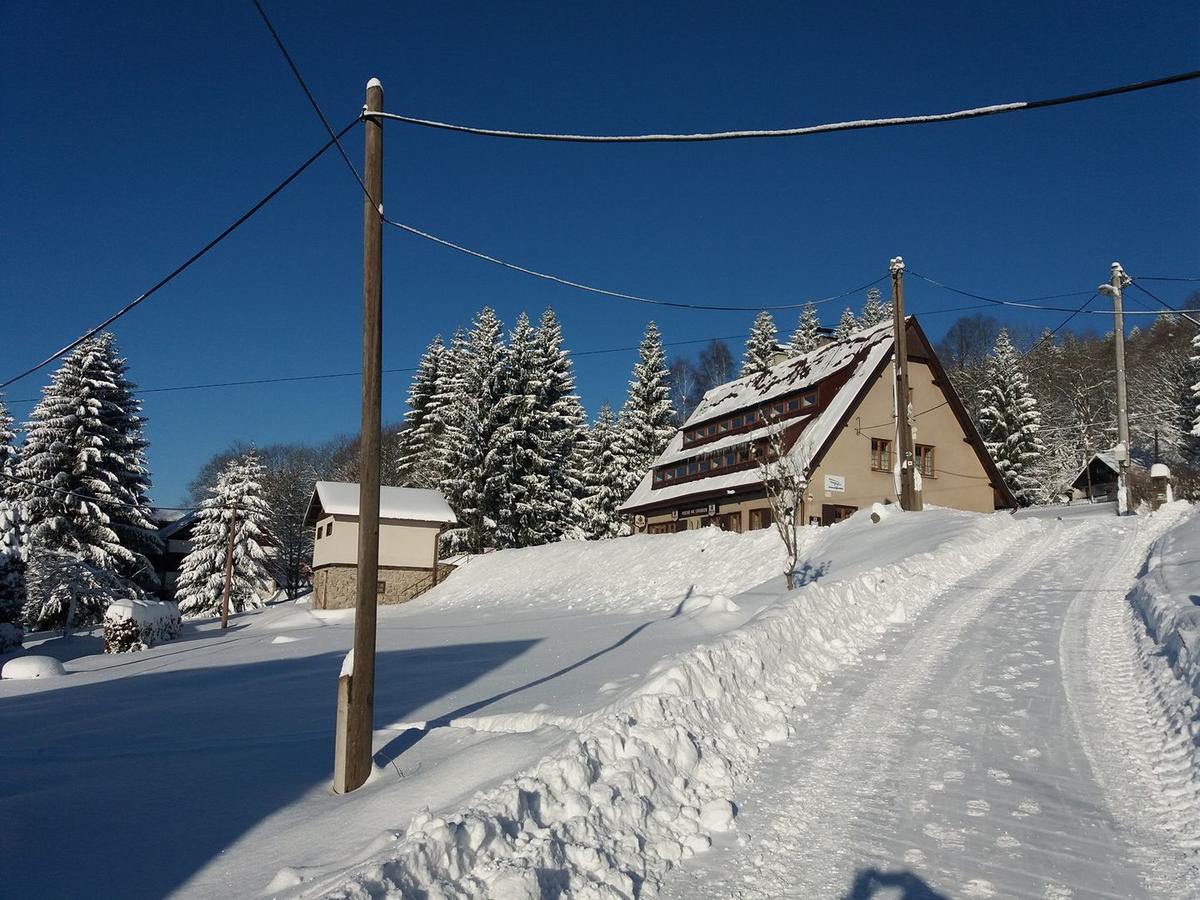 Penzion Pod Severakem Lučany nad Nisou Eksteriør billede